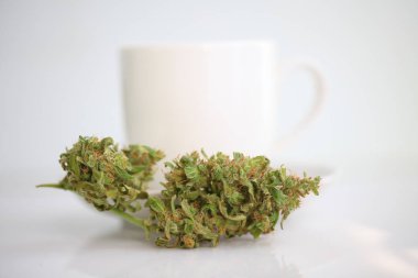 Kenevir çayı. tıbbi esrar yaprağı