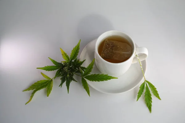 hemp tea .  medical cannabis leaf