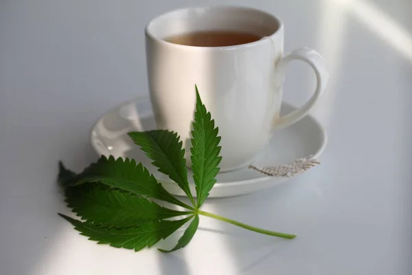 hemp tea .  medical cannabis leaf