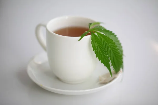Kenevir Çayı Tıbbi Esrar Yaprağı — Stok fotoğraf