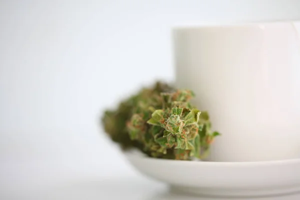 Hanftee Medizinisches Cannabisblatt — Stockfoto