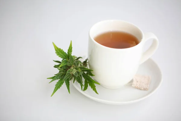 hemp tea .  medical cannabis leaf