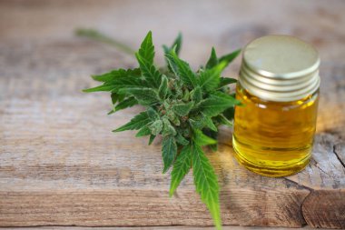 Tıbbi marihuana esrar cbd yağı