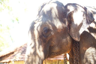 Sri Lanka, Colombo, Mart 2014. pencere araba yol manzara görünüm