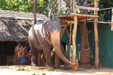 Sri Lanka, Colombo, Mart 2014. pencere araba yol manzara görünüm