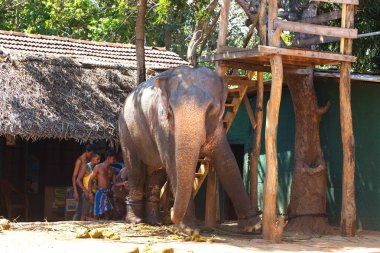 Sri Lanka, Colombo, Mart 2014. pencere araba yol manzara görünüm