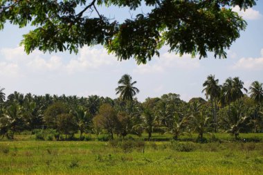 Sri Lanka, Colombo, Mart 2014. pencere araba yol manzara görünüm
