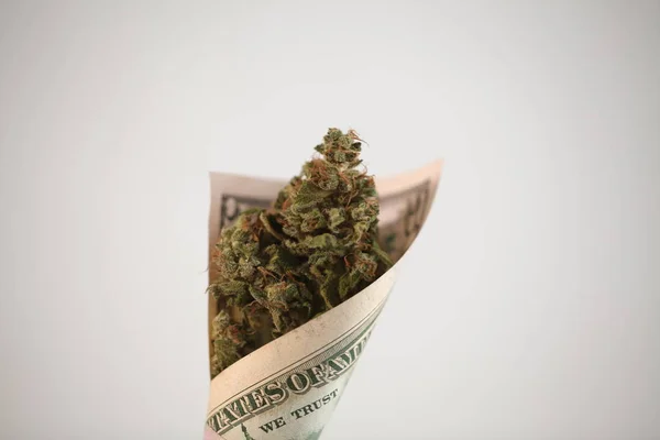 Conta Dólar Tubo Torcido Com Cannabis — Fotografia de Stock