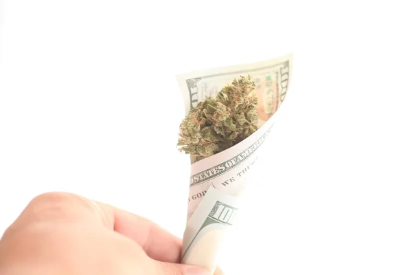 Billete Dólar Tubo Retorcido Con Cannabis — Foto de Stock