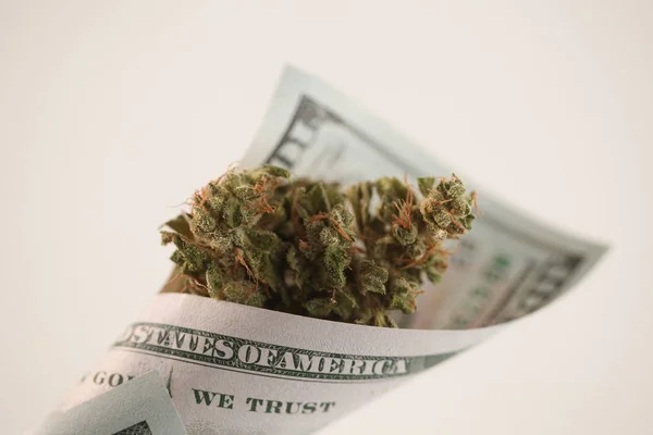 Billete Dólar Tubo Retorcido Con Cannabis — Foto de Stock