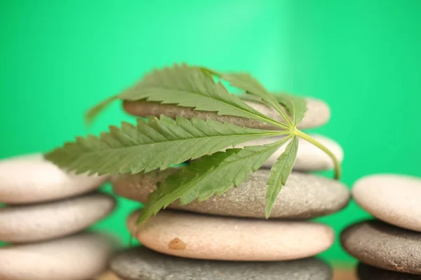 医療大麻マリファナ植物大麻 — ストック写真
