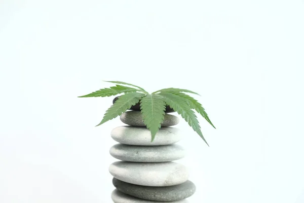 Orvosi marihuána cannabis cbd olaj — Stock Fotó