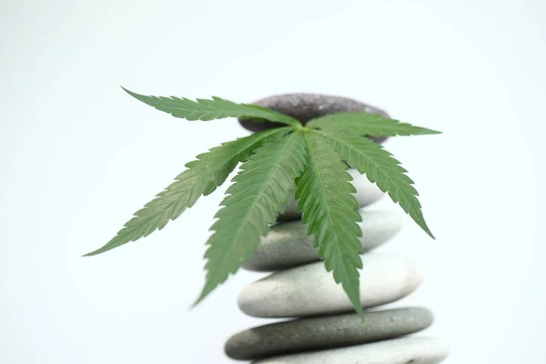 Medicinsk marijuana cannabis cbd olja — Stockfoto