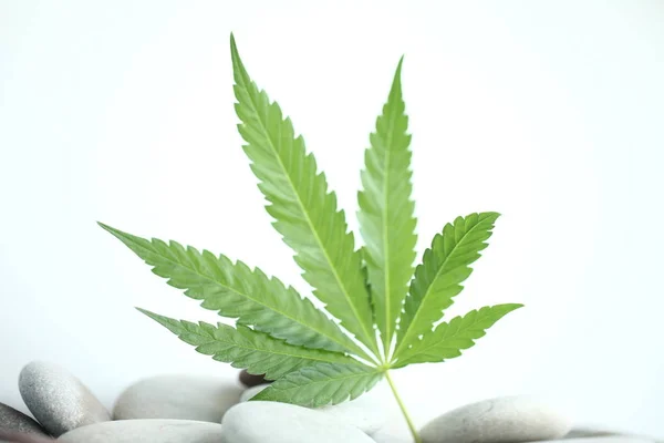 Medicinsk marijuana cannabis cbd olja — Stockfoto