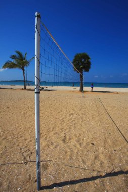 Sri Lanka, Colombo,Mart 2014. sahil beldesi tropikal