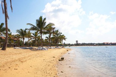 Sri Lanka, Colombo,Mart 2014. sahil beldesi tropikal