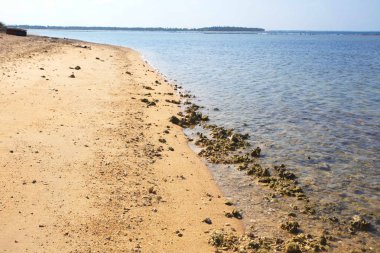 Sri Lanka, Colombo,Mart 2014. sahil beldesi tropikal