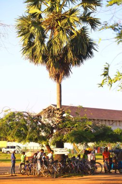 Sri Lanka, Colombo,Mart 2014. sahil beldesi tropikal