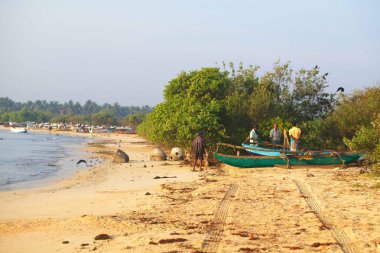 Sri Lanka, Colombo,Mart 2014. sahil beldesi tropikal