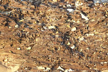 Sri Lanka, Colombo,Mart 2014. kirli plaj görünümü 