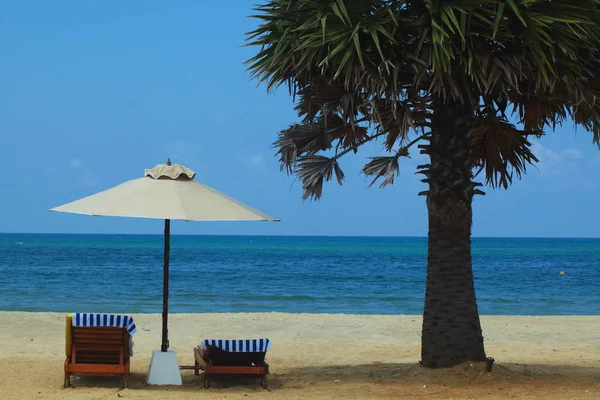 Sri Lanka, Colombo, 2014 mars. Beach Resort Tropical — Stockfoto