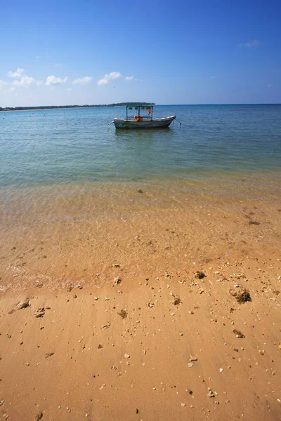 Sri Lanka, Colombo, 2014 marca. Plaża Resort tropikalny — Zdjęcie stockowe