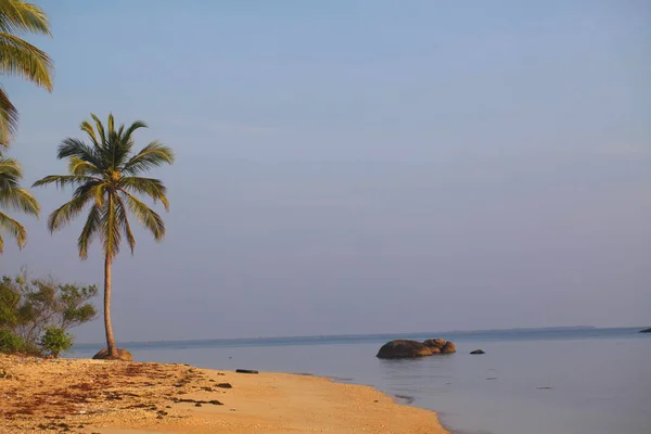 Sri Lanka, Colombo,Mart 2014. sahil beldesi tropikal — Stok fotoğraf