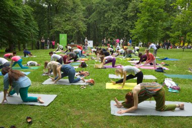 Beyaz Rusya, Minsk, Haziran 2015. insanlar yoga tra sırasında egzersiz yapmak