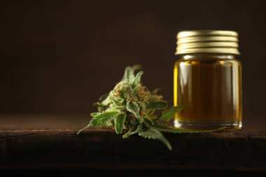 Tıbbi marihuana esrar cbd yağı