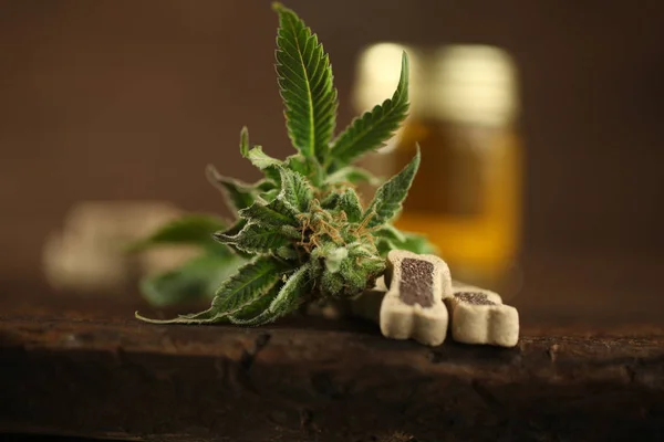 Cannabis medica olio di cannabis cbd — Foto Stock
