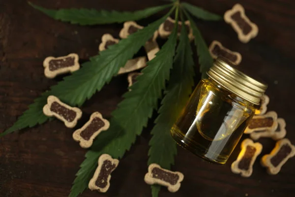 Cannabis medica olio di cannabis cbd — Foto Stock