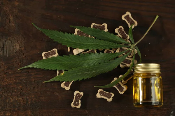 Marijuana médicale cannabis cbd huile — Photo