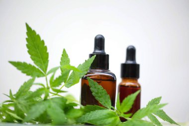 Tıbbi marihuana esrar cbd yağı