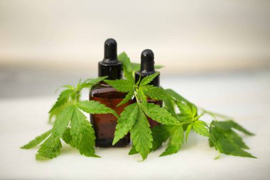 Tıbbi marihuana esrar cbd yağı