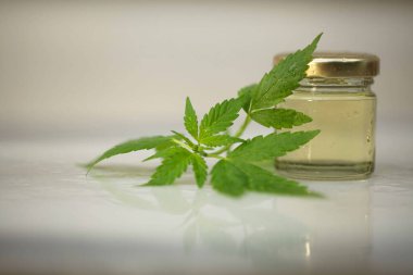 Tıbbi marihuana esrar cbd yağı