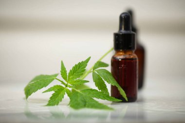 Tıbbi marihuana esrar cbd yağı