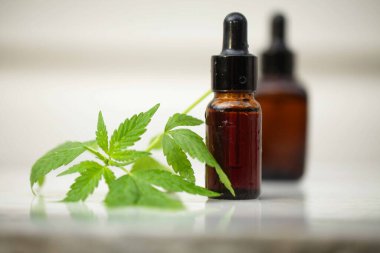 Tıbbi marihuana esrar cbd yağı