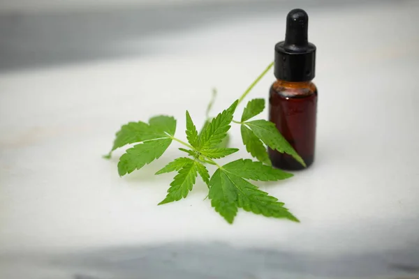 Marihuana Medicinal Aceite Cbd — Foto de Stock