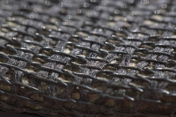 siyah ofis ergonomik sandalyesi ile ağ kaplama.