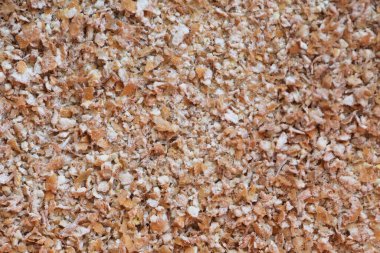 Kurutulmuş buğday, biyolojik besin filizlendirir.