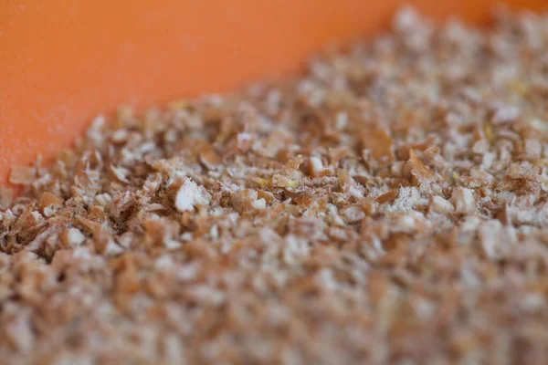 Сушеная Пшеница Рождает Биопродукты — стоковое фото
