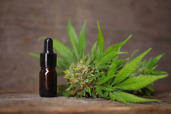 Marihuana Medicinal Aceite Cbd — Foto de Stock