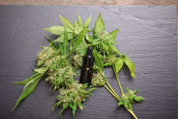 Maconha Medicinal Óleo Cannabis Cbd — Fotografia de Stock