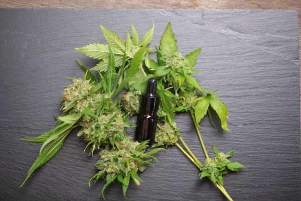 Medical Marijuana Cannabis Cbd Oil — Stock Photo, Image