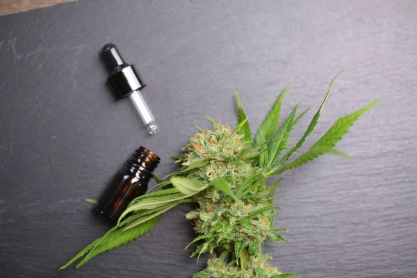 Medical Marijuana Cannabis Cbd Oil — Stock Photo, Image