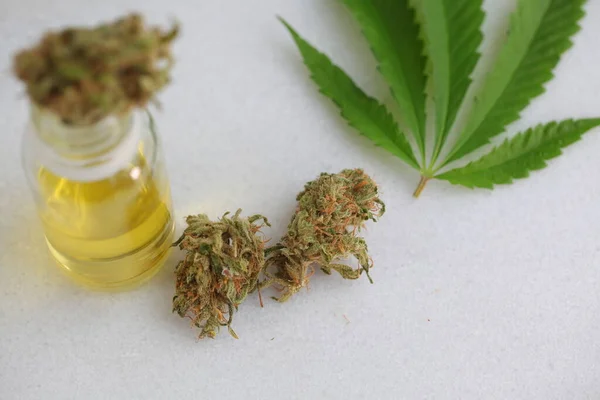 Marihuana Medicinal Cannabis Hoja Aceite Cbd — Foto de Stock