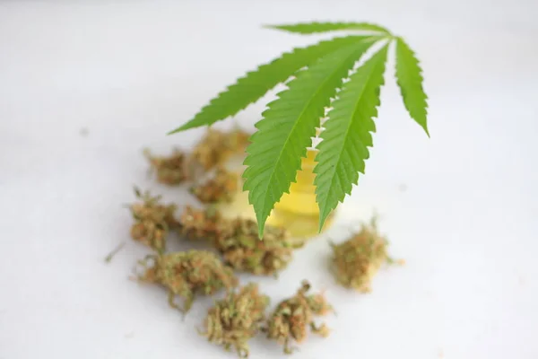 Marihuana Medicinal Cannabis Hoja Aceite Cbd —  Fotos de Stock