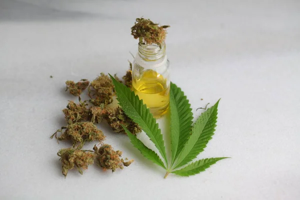 Medical Marijuana Leaf Cannabis Cbd Oil — Stock Photo, Image