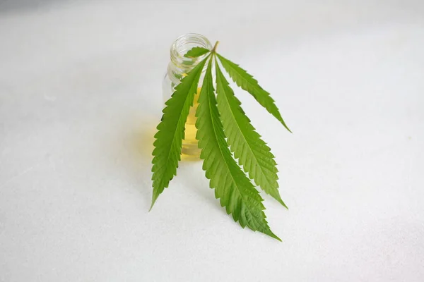 Marihuana Medyczna Marihuana Liściasta Olej Cbd — Zdjęcie stockowe