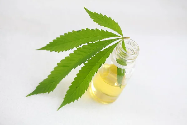 Medizinisches Marihuana Blatt Cannabis Cbd — Stockfoto